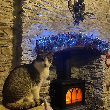 Five Saints Farmhouse B&B Pumpsaint Dış mekan fotoğraf