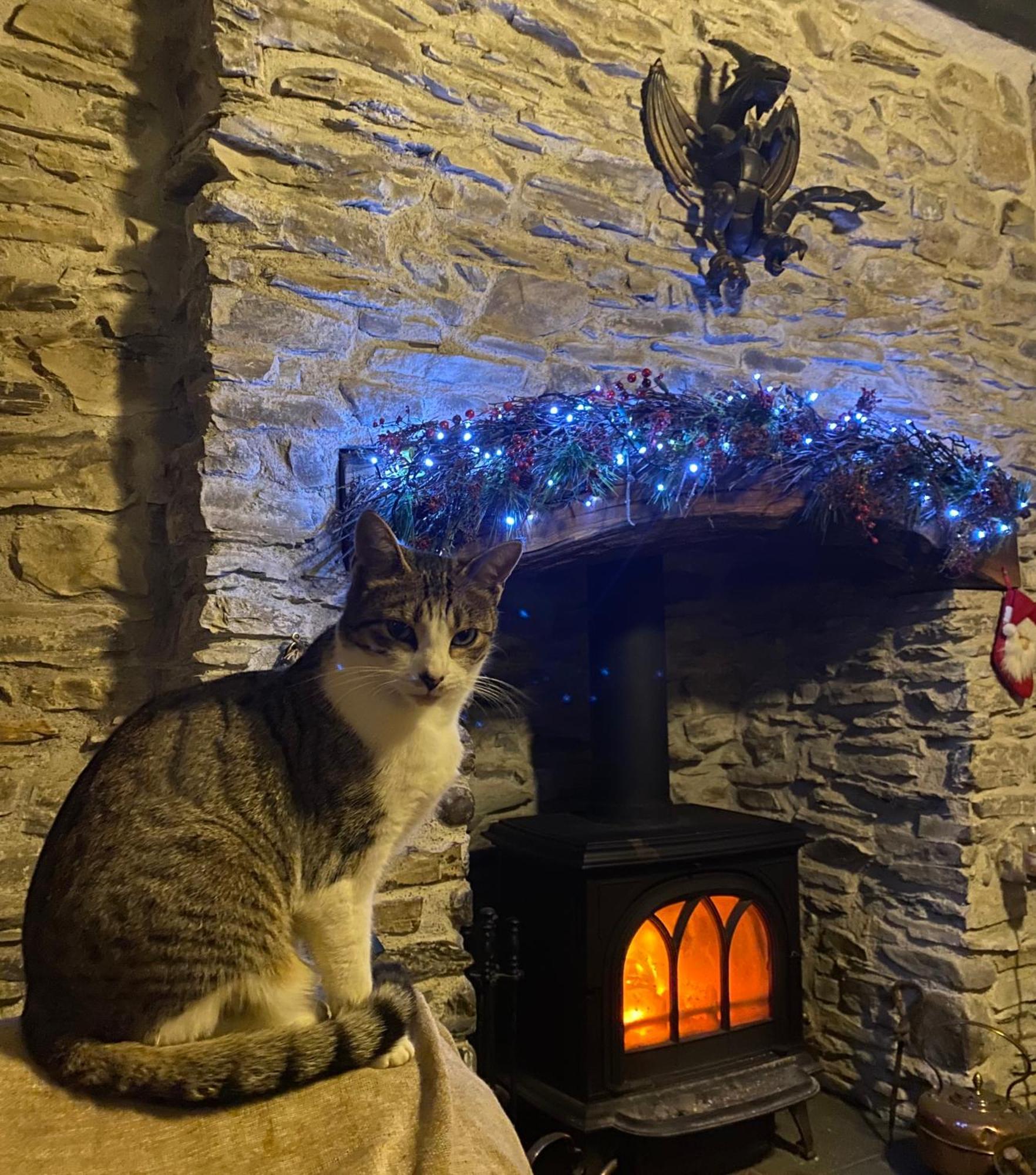 Five Saints Farmhouse B&B Pumpsaint Dış mekan fotoğraf